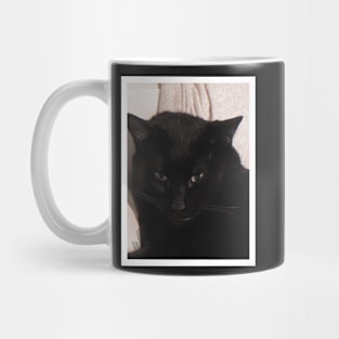 Grumpy Kitty Mug